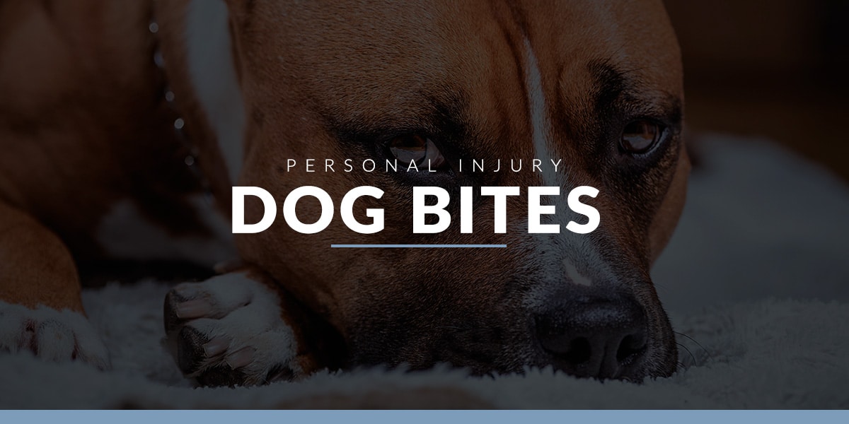 Chandler Dog Bite Attorneys | VS Criminal Defense Attorneys
