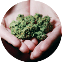 Scottsdale Marijuana Lawyer