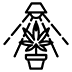 Marijuana And Dangerous Drugs Manufacturing / Cultivation Lawyer In Chandler